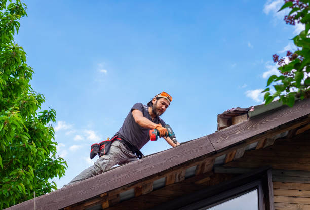 Best Flat Roofing  in Danvers, IL